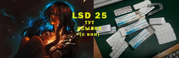 spice Бородино