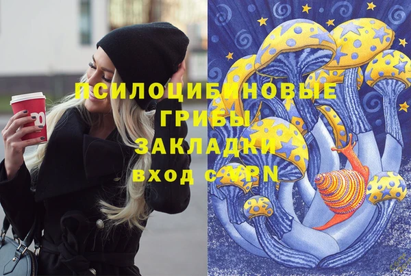 spice Бородино