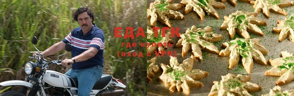 spice Бородино