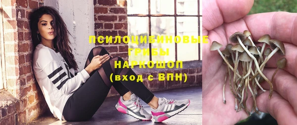spice Бородино