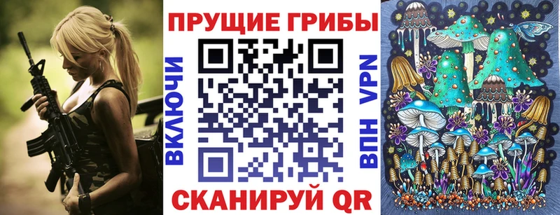 Галлюциногенные грибы MAGIC MUSHROOMS  hydra рабочий сайт  Гатчина  где купить  